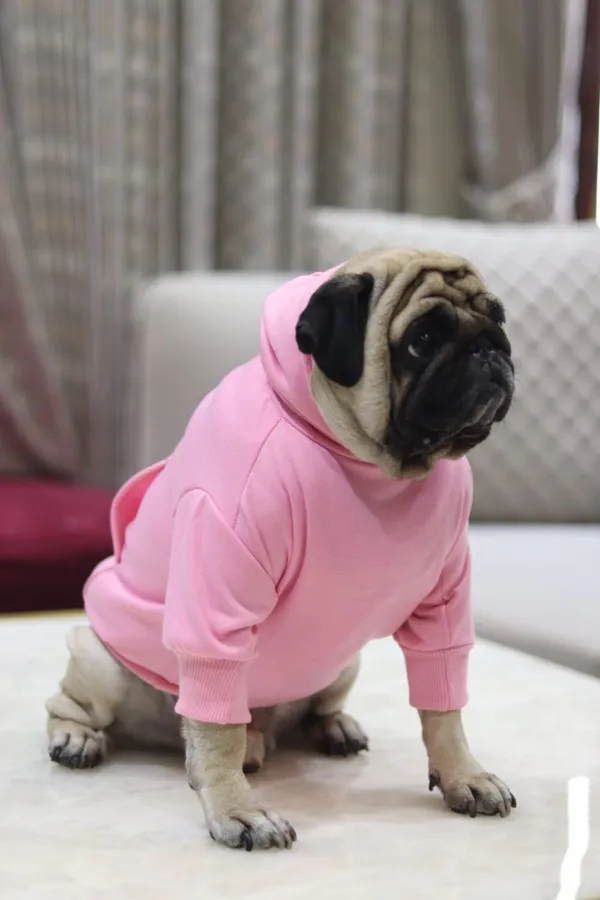 Pink_Cotton_Hoodie_Sweatshirt_For_Dogs