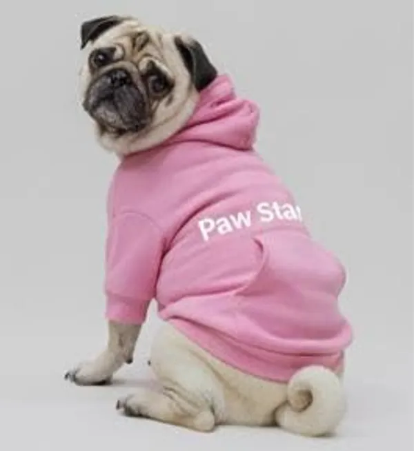 Pink_Cotton_Hoodie_Sweatshirt_For_Dogs