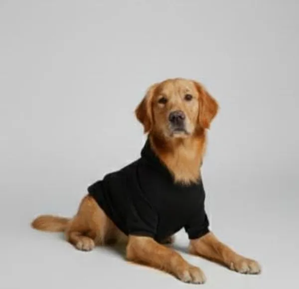 Black_Fleece_Hoodie_For_Dogs