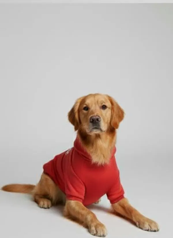 Red_Fleece_Hoodie_For_Dogs