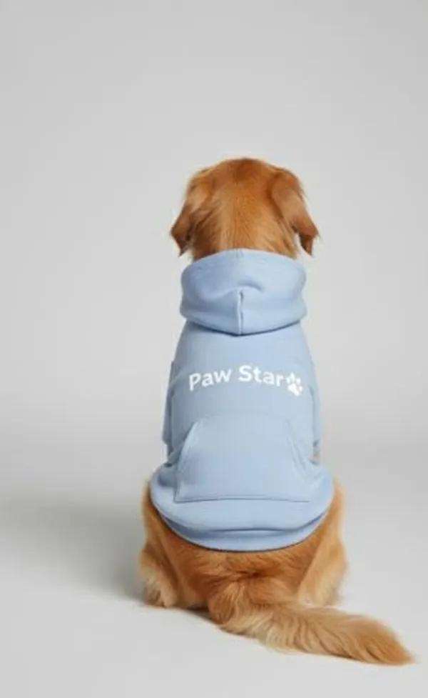 Sky_Blue_Fleece_Hoodie_For_Dogs