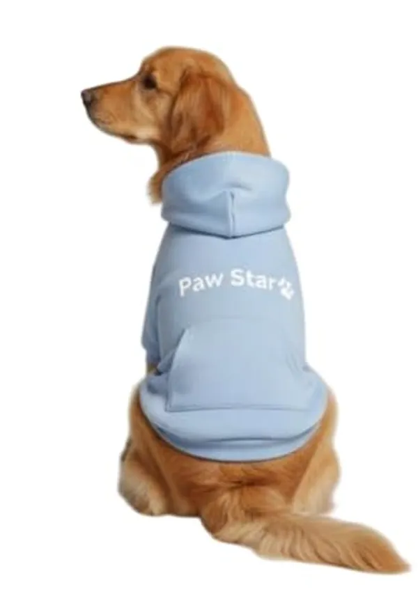 Sky_Blue_Fleece_Hoodie_For_Dogs