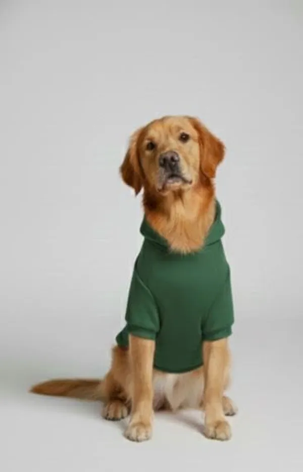 Green_Fleece_Hoodie_For_Dogs