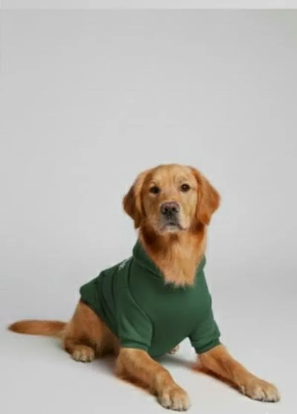 Green_Fleece_Hoodie_For_Dogs