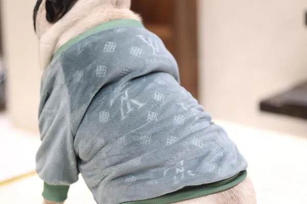 Green_Cotton_Knitted_Sweater_For_Dogs
