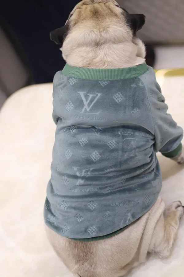 Green_Cotton_Knitted_Sweater_For_Dogs