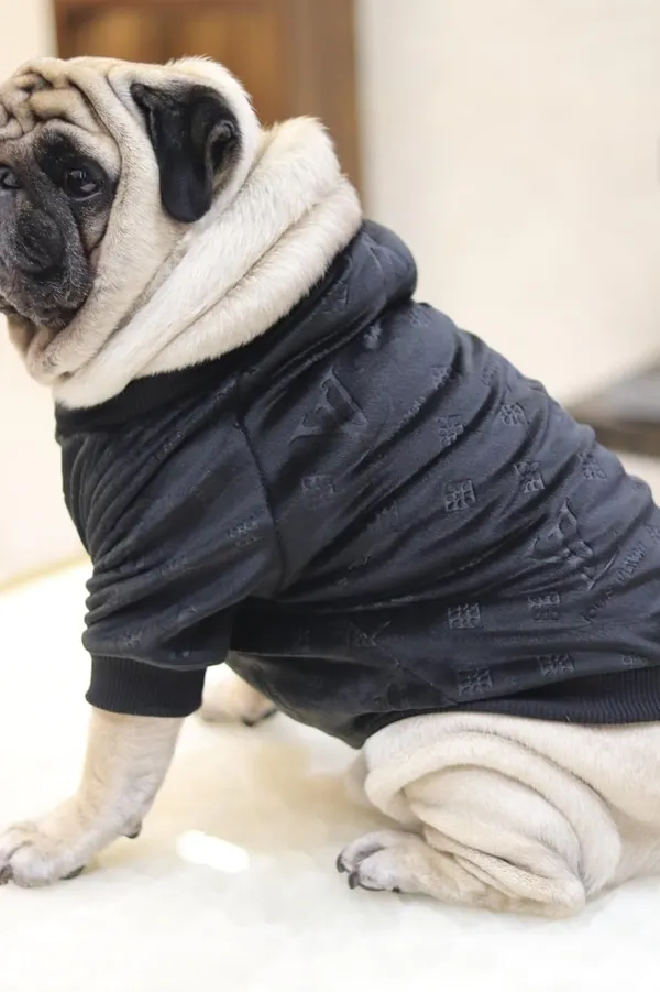 Black_Cotton_Knitted_Sweater_For_Dogs