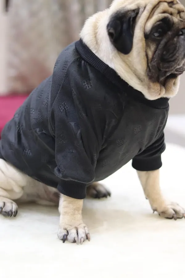 Black_Cotton_Knitted_Sweater_For_Dogs