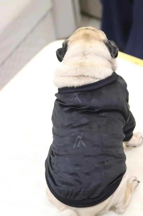 Black_Cotton_Knitted_Sweater_For_Dogs