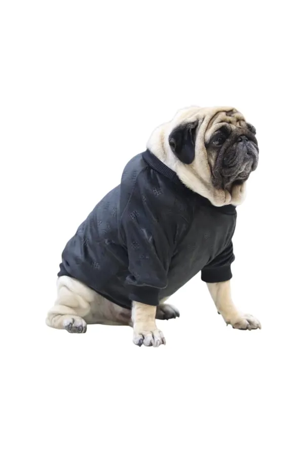 Black_Cotton_Knitted_Sweater_For_Dogs