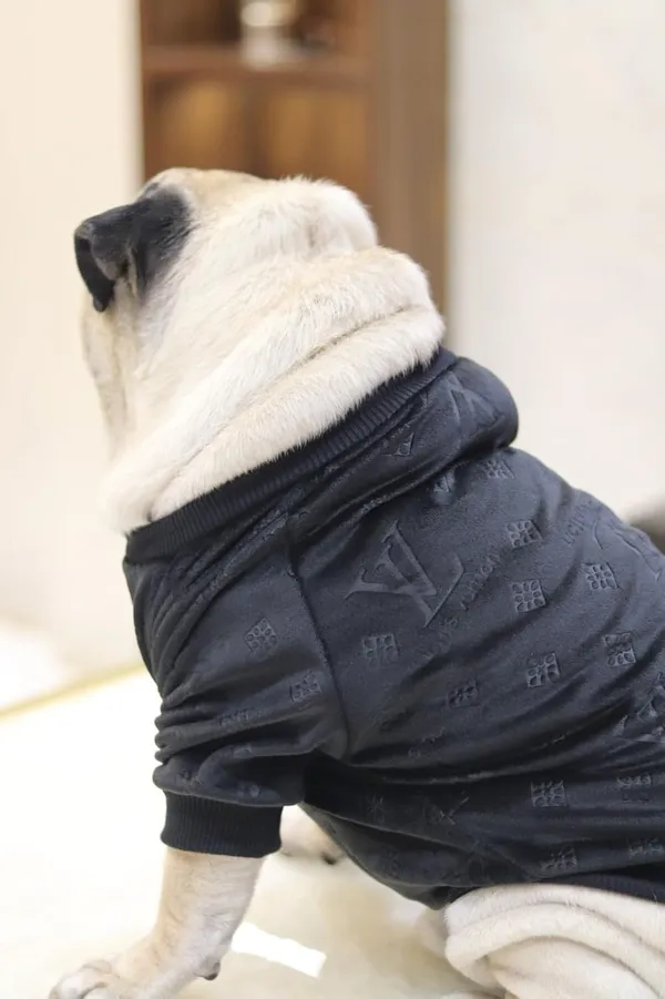 Black_Cotton_Knitted_Sweater_For_Dogs