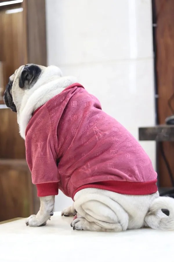 Maroon_Cotton_Knitted_Pullover_Sweater_For_Dogs