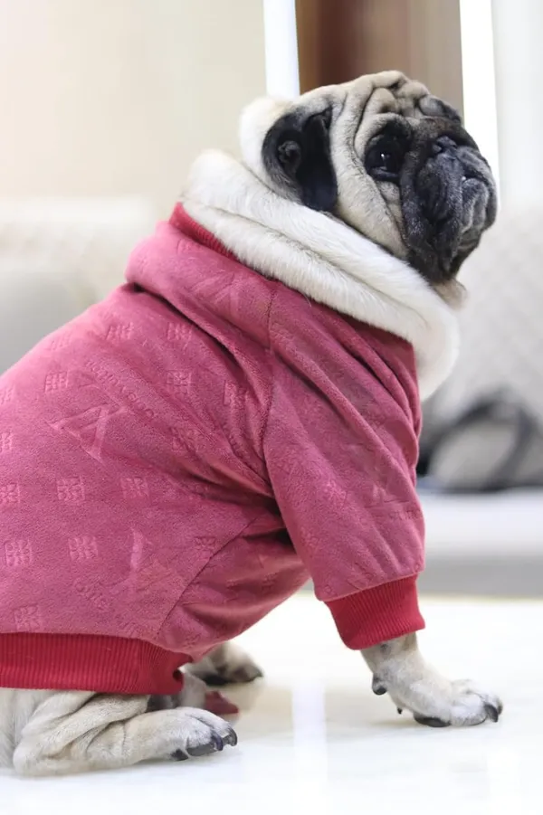 Maroon_Cotton_Knitted_Pullover_Sweater_For_Dogs