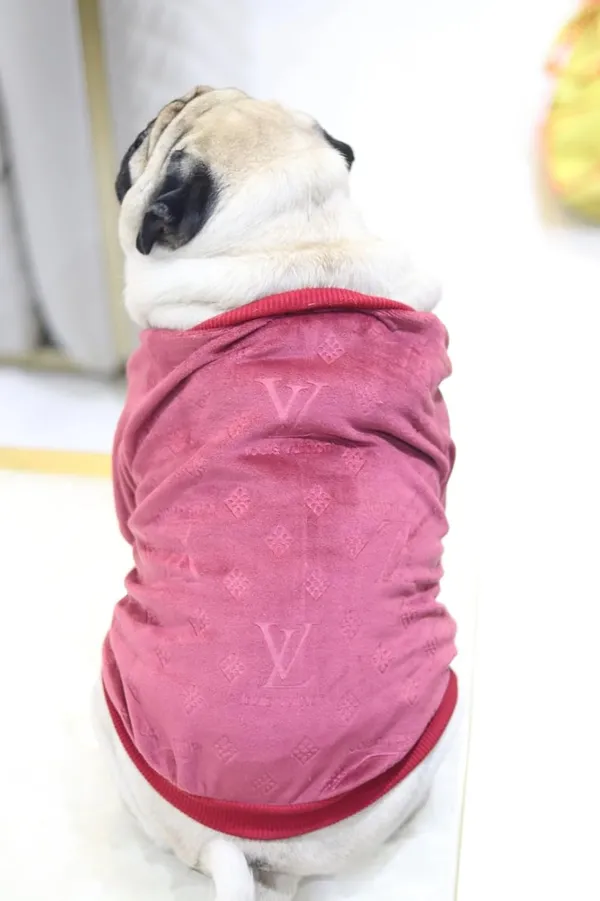 Maroon_Cotton_Knitted_Pullover_Sweater_For_Dogs