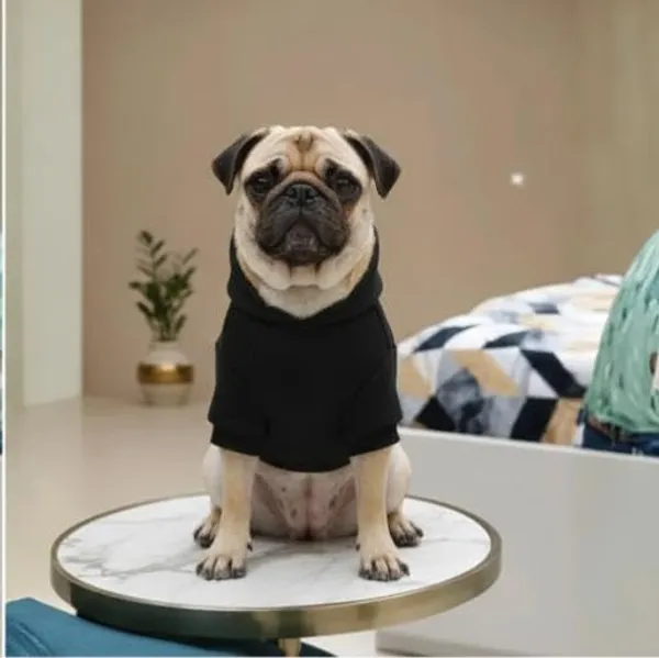 Black_Cotton_Hoodie_Sweatshirt_For_Dogs