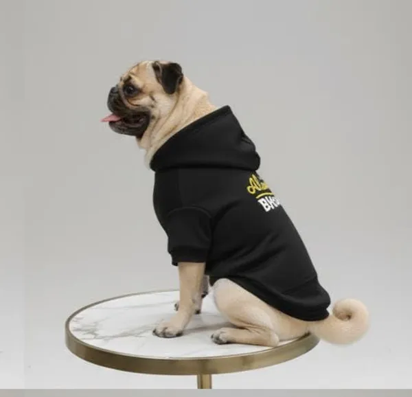 Black_Cotton_Hoodie_Sweatshirt_For_Dogs
