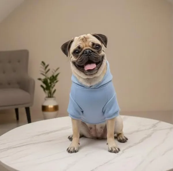 Sky_Blue_Cotton_Hoodie_Sweatshirt_For_Dogs