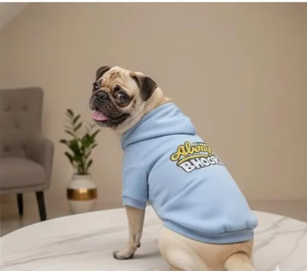 Sky_Blue_Cotton_Hoodie_Sweatshirt_For_Dogs