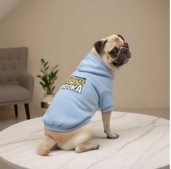 Sky_Blue_Cotton_Hoodie_Sweatshirt_For_Dogs