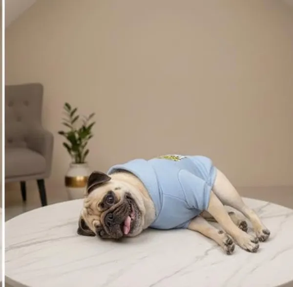 Sky_Blue_Cotton_Hoodie_Sweatshirt_For_Dogs