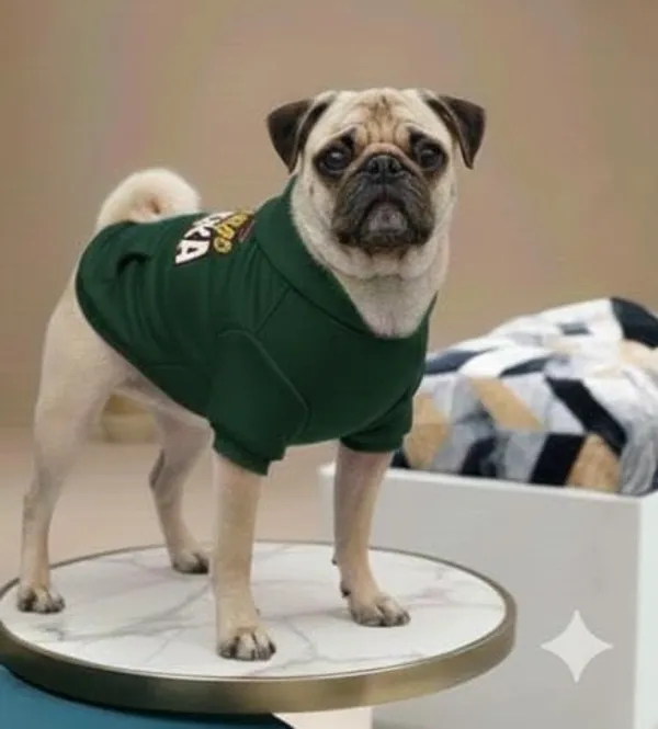 Green_Cotton_Hoodie_Sweatshirt_For_Dogs