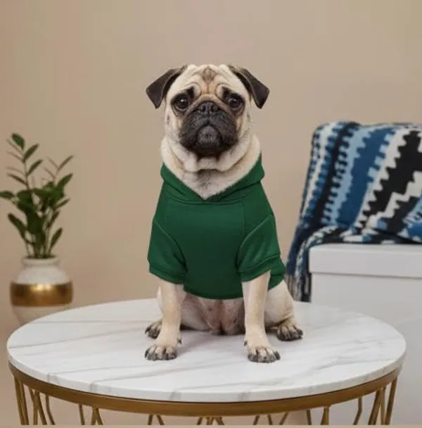 Green_Cotton_Hoodie_Sweatshirt_For_Dogs