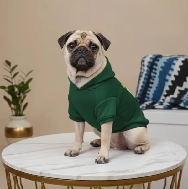 Green_Cotton_Hoodie_Sweatshirt_For_Dogs