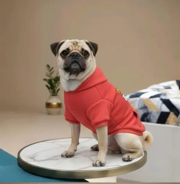 Red_Cotton_Hoodie_Sweatshirt_For_Dogs
