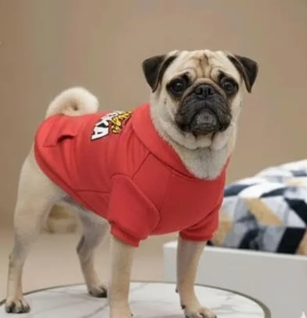 Red_Cotton_Hoodie_Sweatshirt_For_Dogs