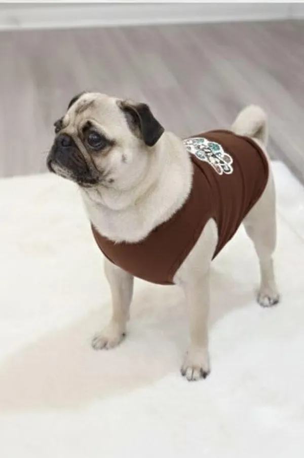 Maroon_Cotton_Back_Printed_T_Shirt_With_Sleeves_For_Dogs