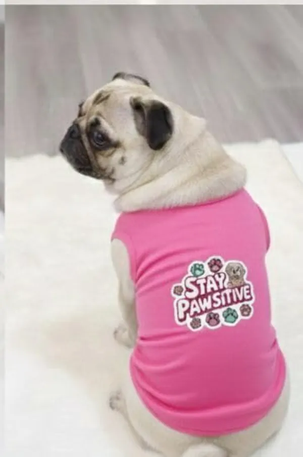 Pink_Cotton_Back_Printed_T_Shirt_With_Sleeves_For_Dogs