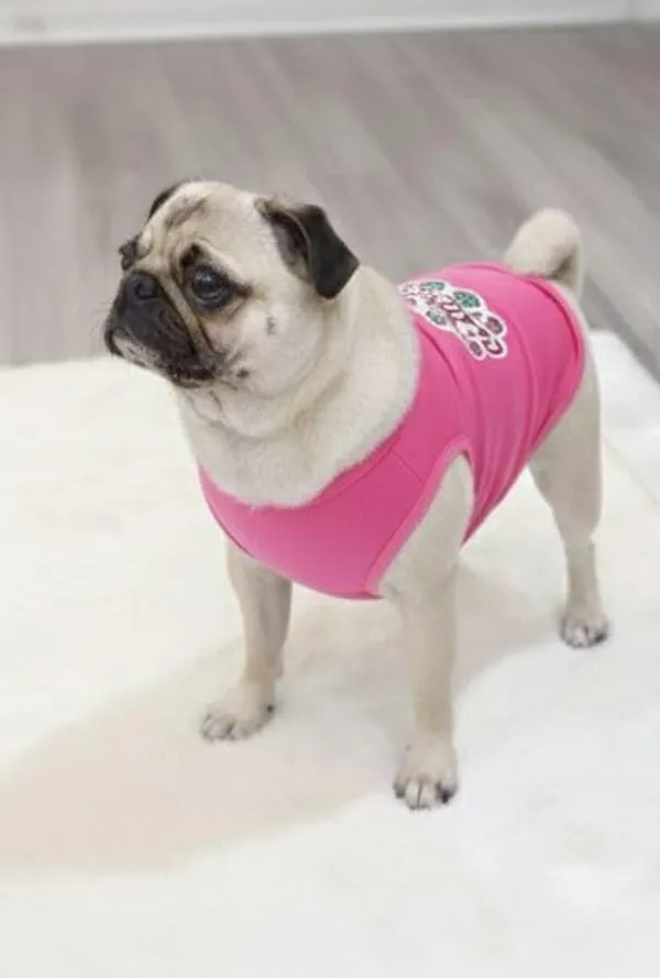 Pink_Cotton_Back_Printed_T_Shirt_With_Sleeves_For_Dogs