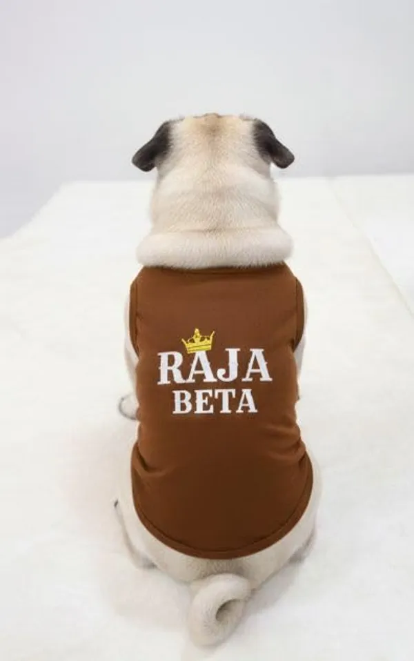 Brown_Cotton_Printed_T_Shirt_For_Dogs