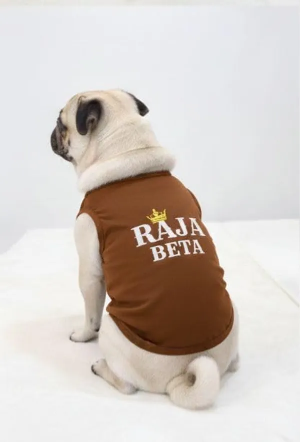 Brown_Cotton_Printed_T_Shirt_For_Dogs