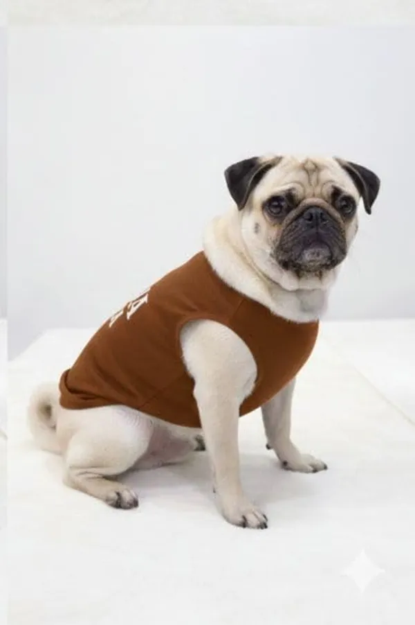 Brown_Cotton_Printed_T_Shirt_For_Dogs