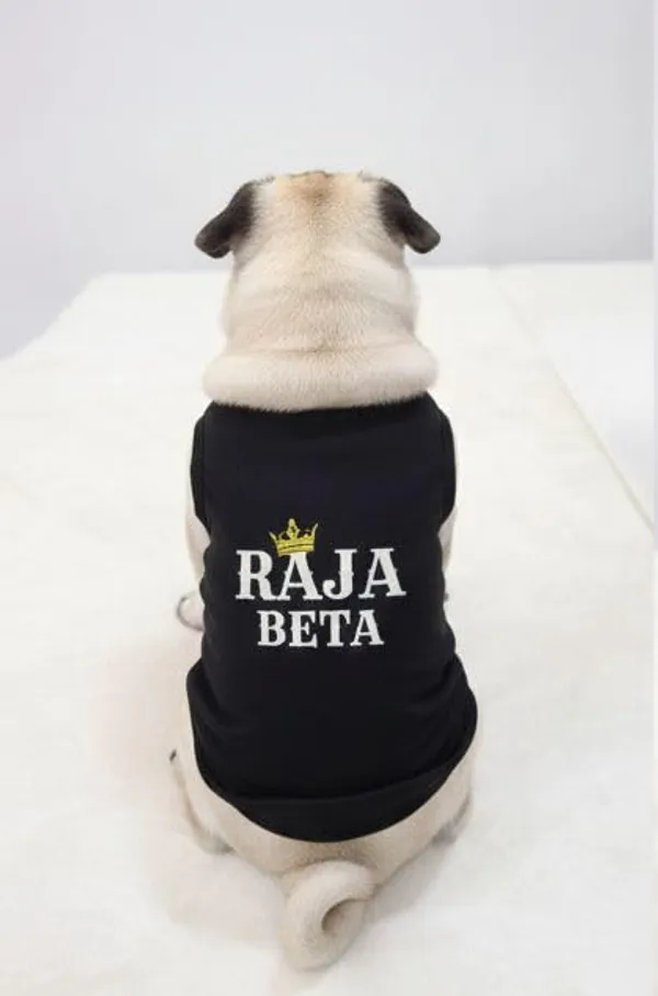 Black_Cotton_Graphic_Print_T-Shirt_For_Dogs
