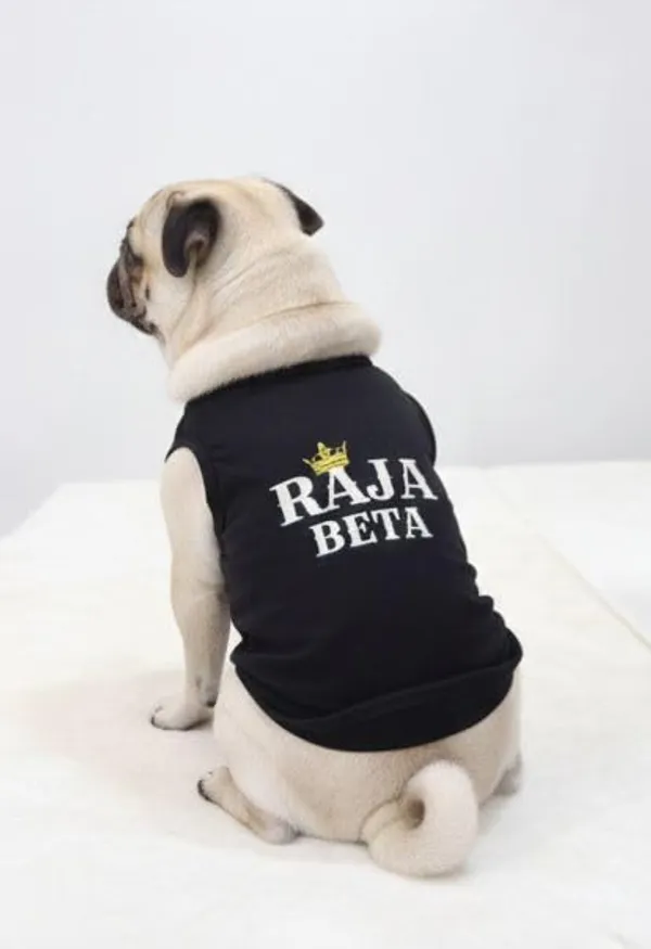 Black_Cotton_Graphic_Print_T-Shirt_For_Dogs
