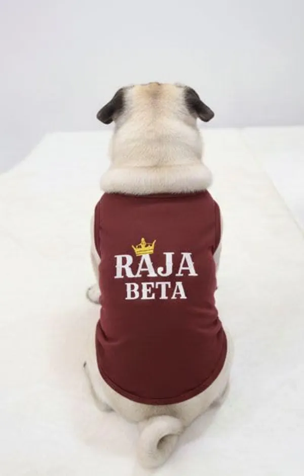 Maroon_Cotton_Printed_T_Shirt_For_Dogs