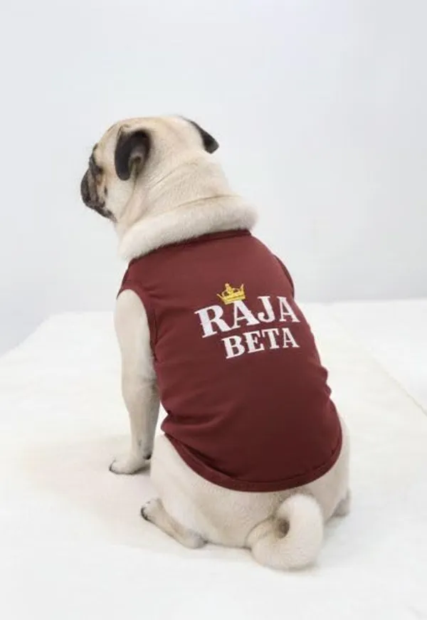 Maroon_Cotton_Printed_T_Shirt_For_Dogs