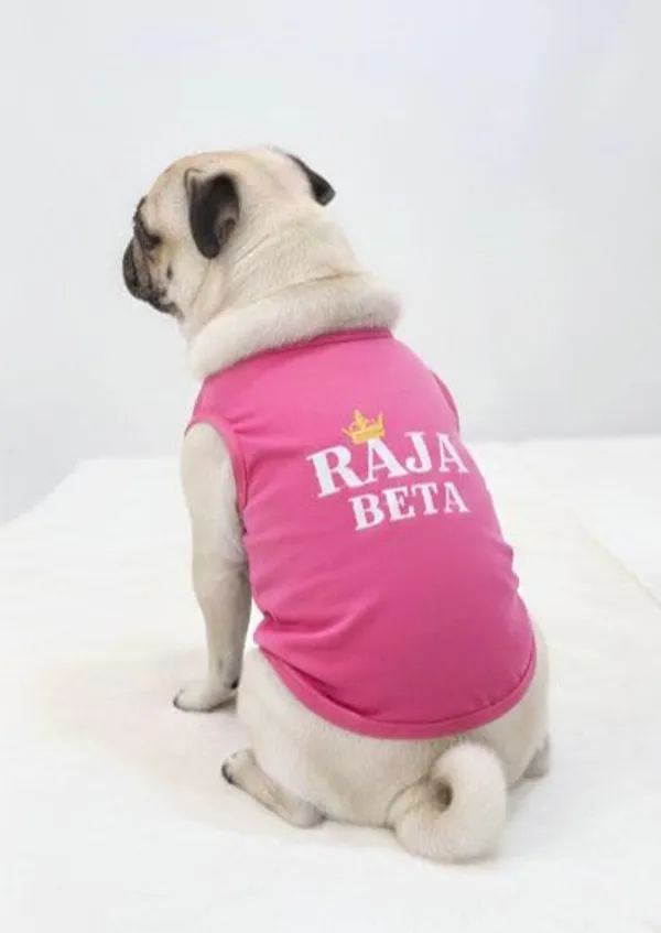 Pink_Cotton_Printed_T_Shirt_For_Dogs