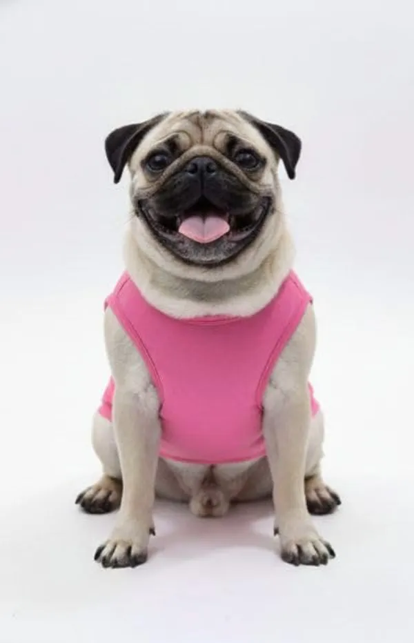Pink_Cotton_T-Shirt_For_Dogs