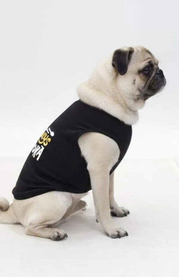 Black_Cotton_T-Shirt_For_Dogs
