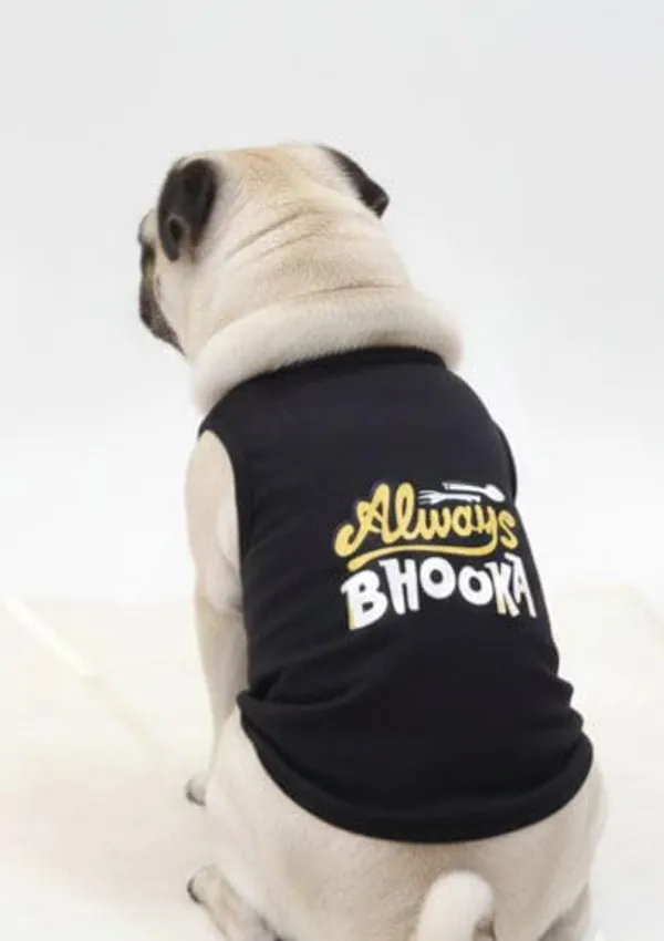 Black_Cotton_T-Shirt_For_Dogs