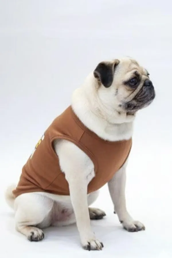 Brown_Cotton_T-Shirt_For_Dogs