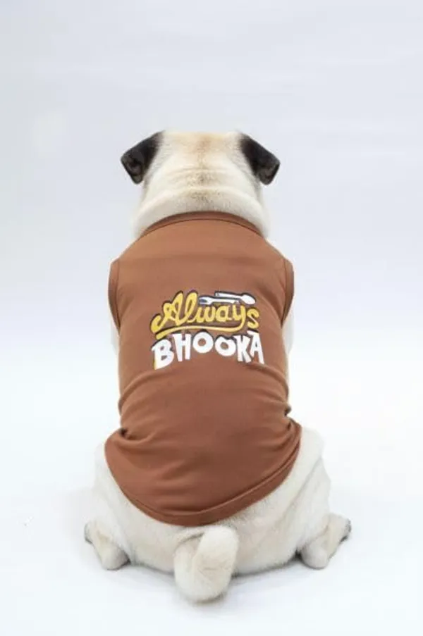 Brown_Cotton_T-Shirt_For_Dogs