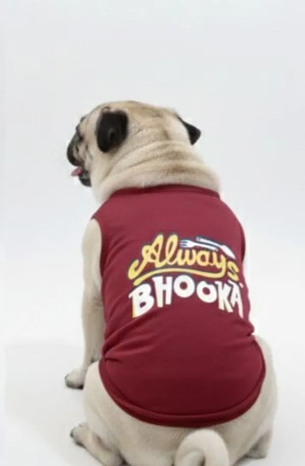 Maroon_Cotton_T-Shirt_For_Dogs