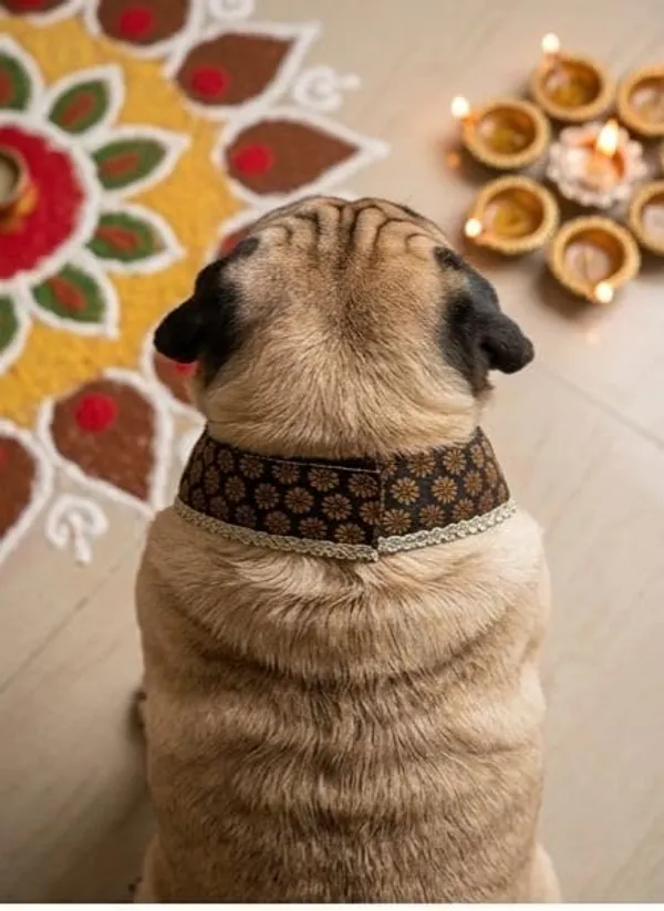 Black_Brocade_Oreo-Pattern_Dog_Bandana