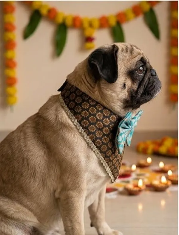 Black_Brocade_Oreo-Pattern_Dog_Bandana