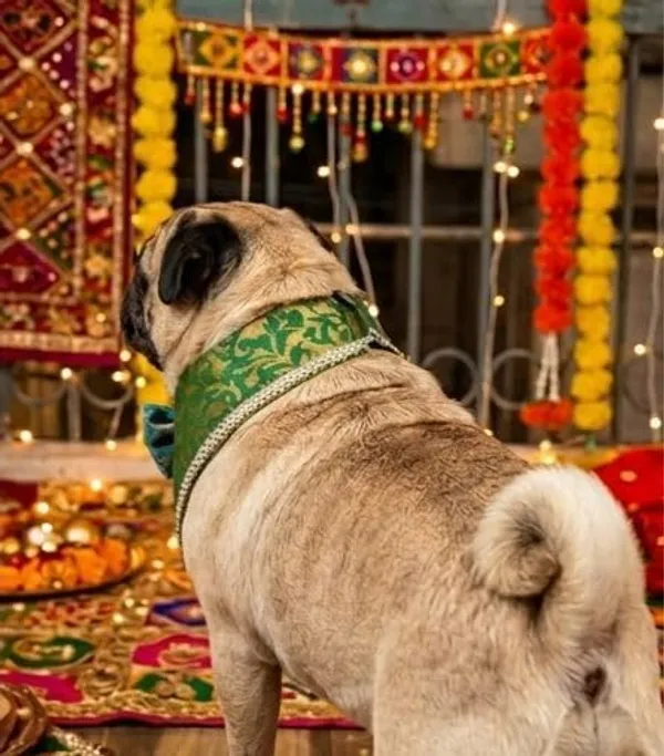 Green_Brocade_Oreo-Pattern_Dog_Bandana