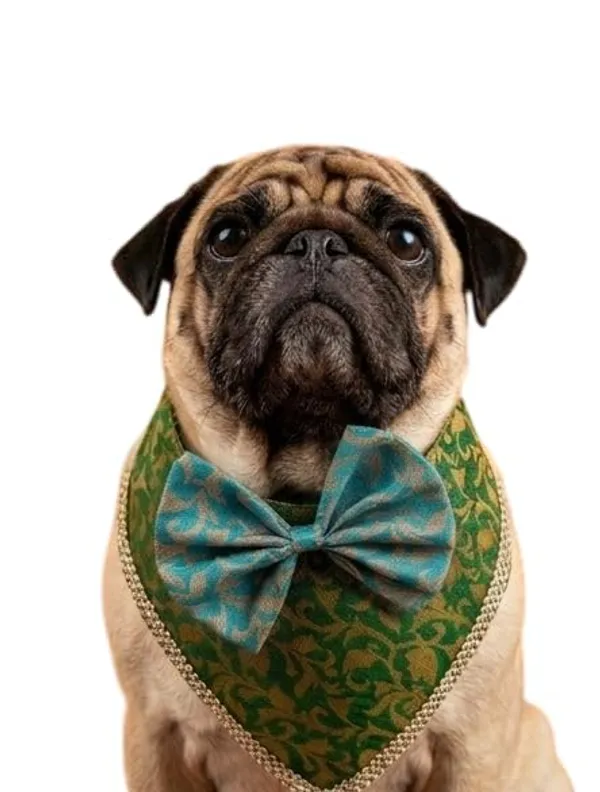 Green_Brocade_Oreo-Pattern_Dog_Bandana